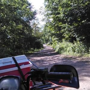 Meet your Posher, Timothy